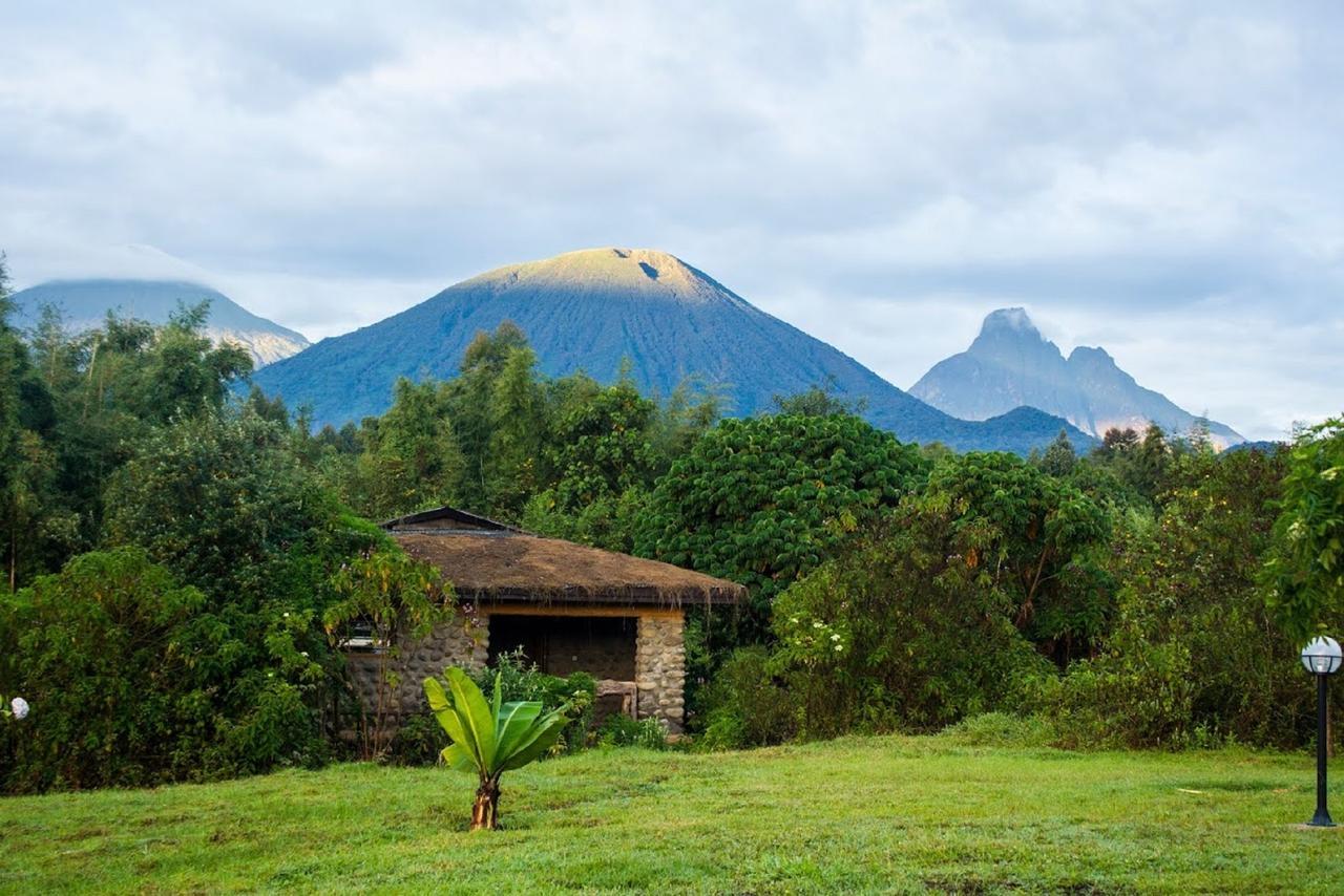 Mountain Gorilla View Lodge Musanze Rum bild