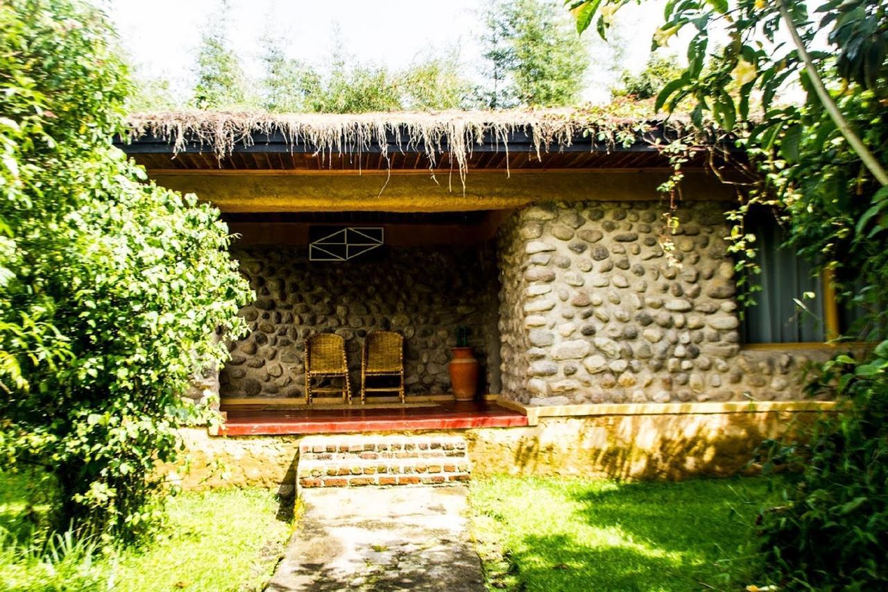 Mountain Gorilla View Lodge Musanze Rum bild